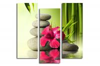 Модульная картина "Китайская роза, бамбук и камни"