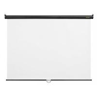 Экран настенный проекционный