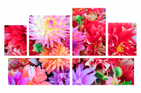 Модульная картина "Цветы разных оттенков"